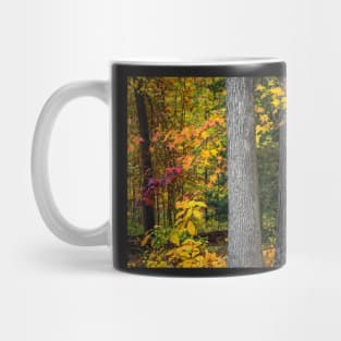 Tree Trunks in Autumn Mug